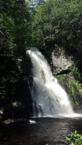 BK PA falls