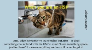 hsp -kitty
